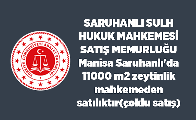Manisa Saruhanlı'da 11000 m2 zeytinlik mahkemeden satılıktır