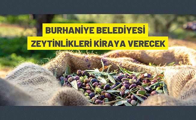 Burhaniye Belediye Başkanlığı zeytinlikleri kiraya verecek