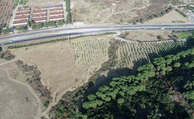 Şehzadeler’e yeni piknik alanı müjdesi