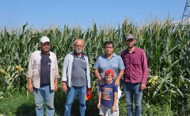 Çiftçi torunundan Cumhurbaşkanı Erdoğan’a mısır talebi