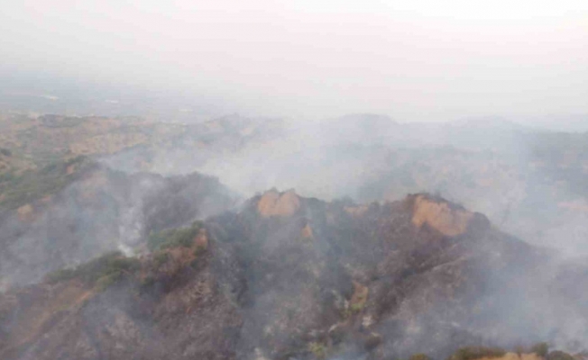 Manisa’da makilik alandaki yangın kontrol altına alındı