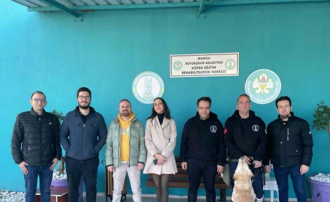 Trüf mantarını eğitimli köpekler bulacak