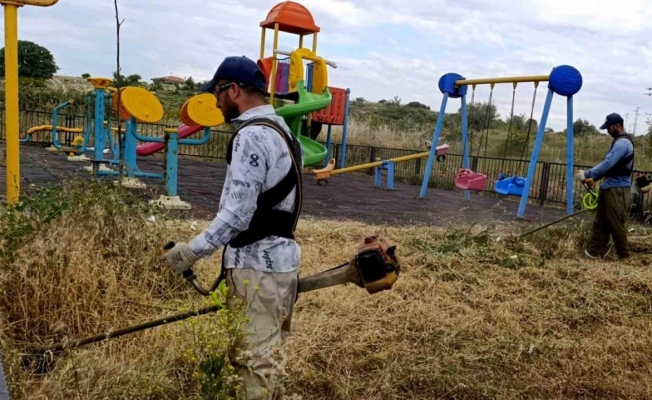 Şehzadeler Belediyesinde ilaçlandırma seferberliği