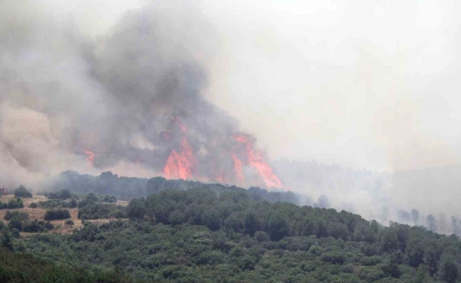 Biçerdöver kaynaklı yangın ormana sıçradı