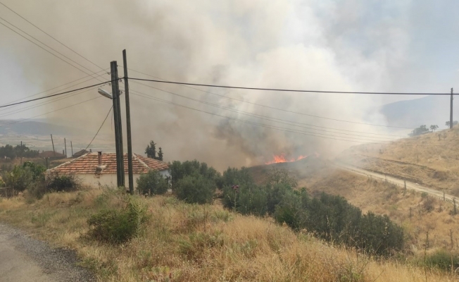 Manisa’da zirai alanda yangın