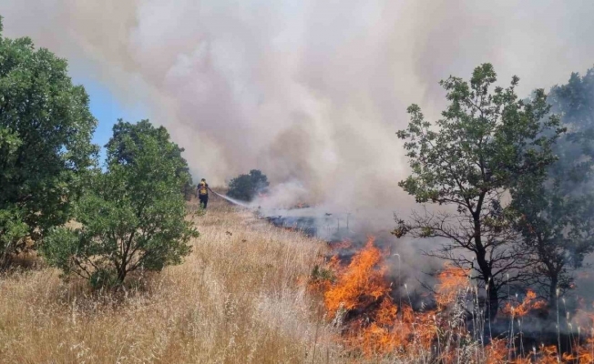 Ormanlık alanı tehdit eden yangına anında müdahale