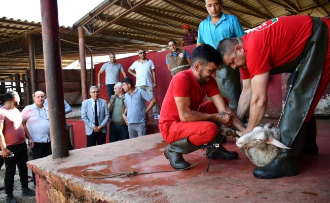 Uygulamalı kurban kesim kursu