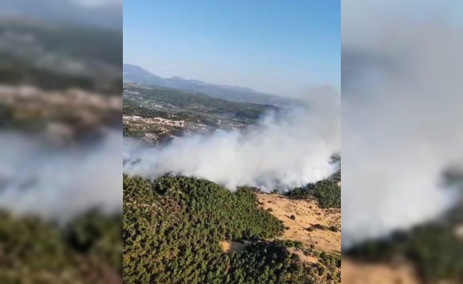 Manisa’da orman yangını