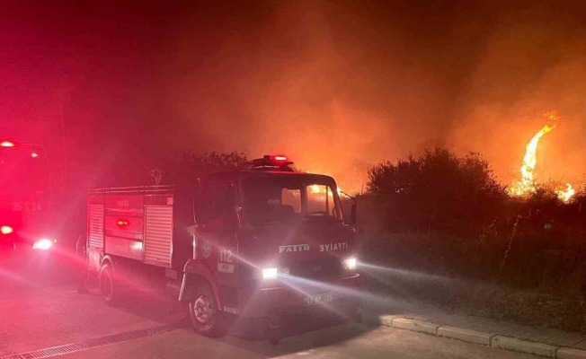 Manisa’da ağaçlık alanda yangın