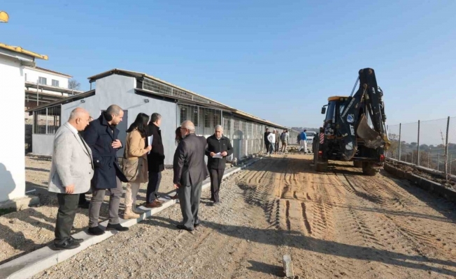 Ege Bölgesi’nin en büyük hayvan yaşam merkezi martta açılıyor