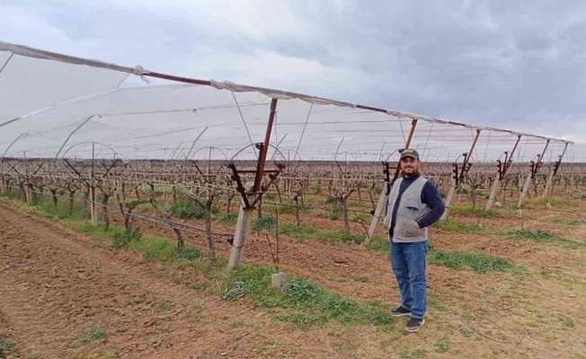 Manisalı çiftçiler don ve dolu riskine karşı tedbir almaya başladı