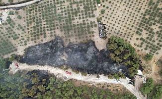Manisa’daki orman yangını köye sıçramadan kontrol altına alındı